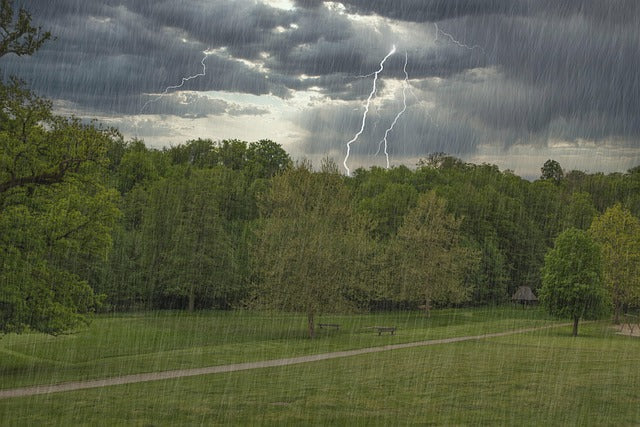 How Thunderstorms Affect Your Koi Pond (and What to Do About It)