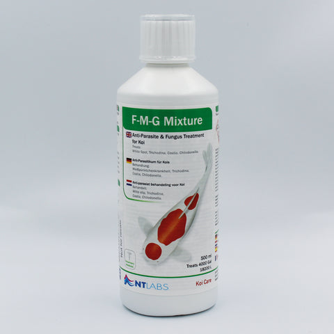 Fmg koi shop