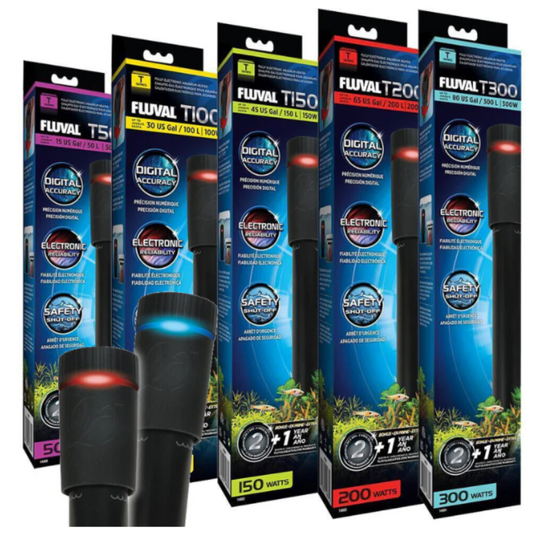 Aquarium Heaters Explained: Choosing the Right One for Your Tank