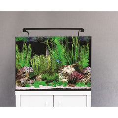 Aqua One AquaNano 60 Aquarium