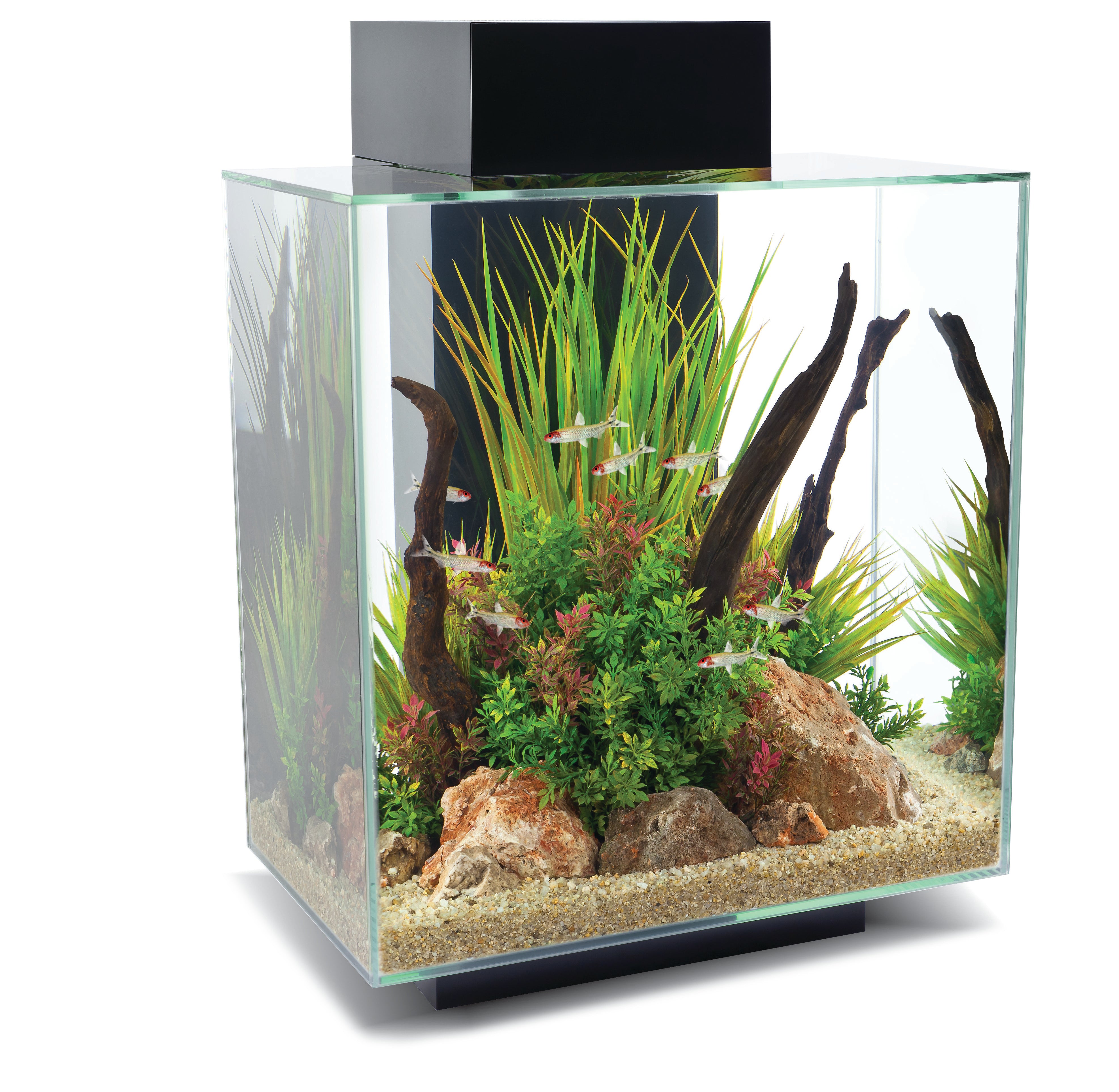 Fluval Edge Black 46L Aquarium Kit Complete Koi