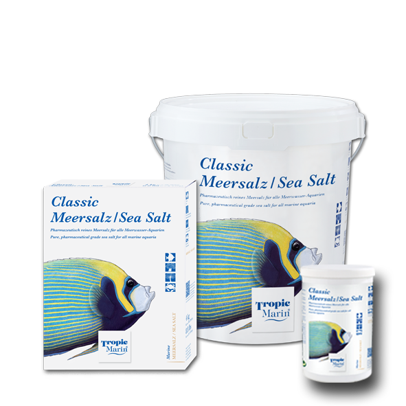 Tmc clearance marine fish