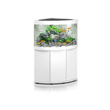 Juwel Trigon 190 Aquarium & Cabinet