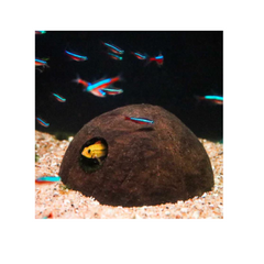 Half Coconut Shelter Aquarium Cave Hide