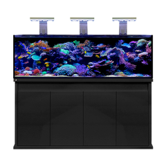 D-D Reef Pro 1800 Aquarium & Cabinet (Ultra Gloss Black)