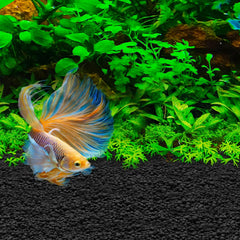 Fluval Betta Stratum 800g - Aquarium Soil