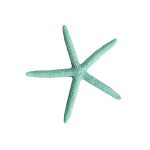 Katachi Blue Coral Starfish Aquarium Ornament