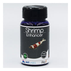 NT Labs Pro-f Shrimp Enhancer Food 40g