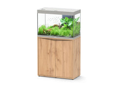 Aquatlantis Splendid Ultra 80 Aquarium & Cabinet (Oak Hercules)