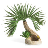 biOrb Seychelles Palm Tree Medium Aquarium Ornament