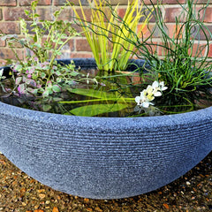 Mini Pond in a Pot Kit