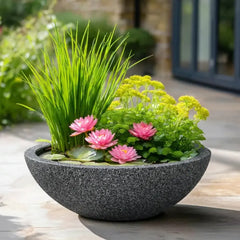 Mini Pond in a Pot Kit