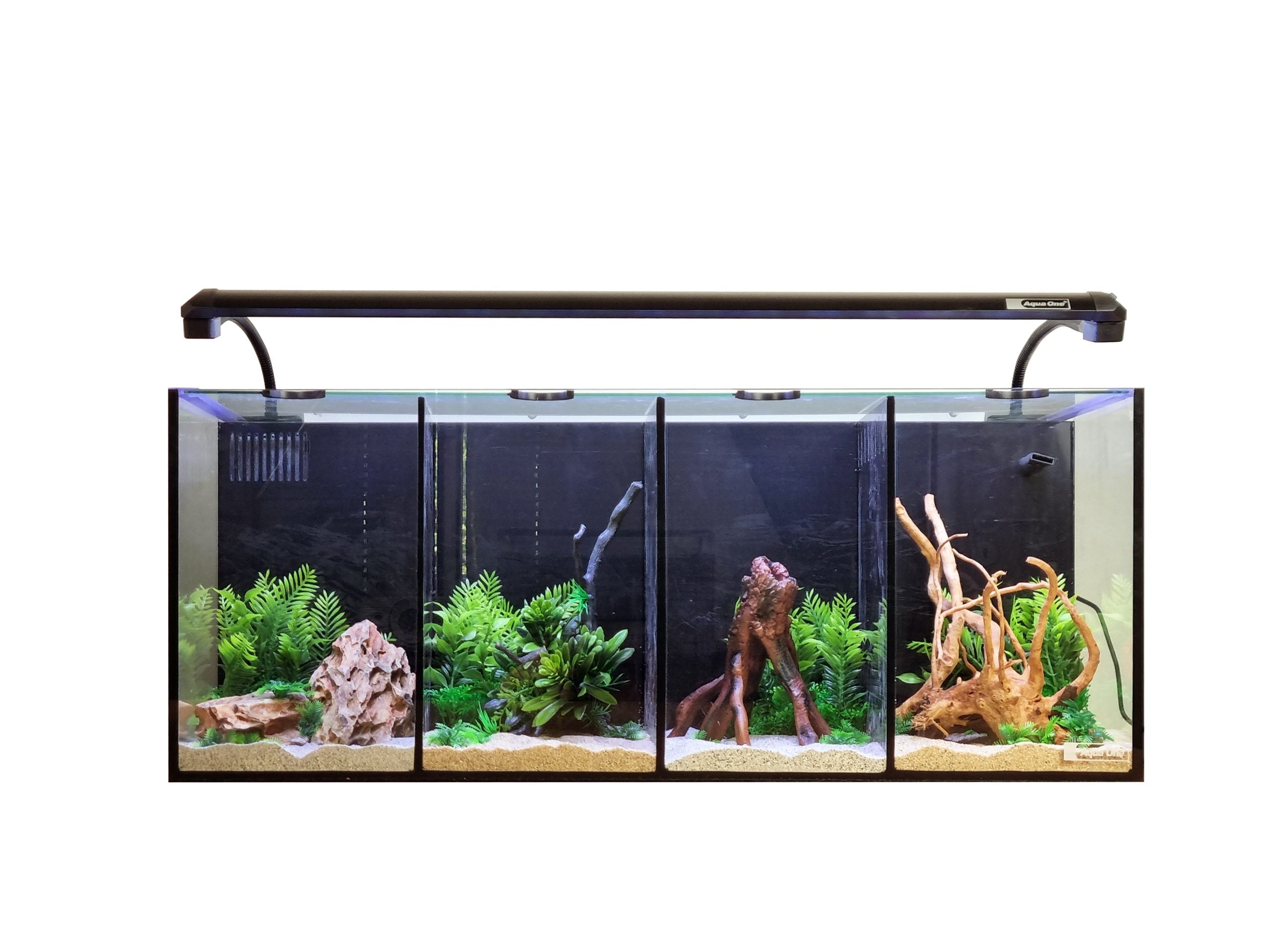 aqua one fish tank accessories Betta Duo Aquarium and create multiple scenes in one aquarium Aqua One Focus 25 Glass