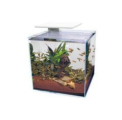 Superfish Qubiq Pro 60 Aquarium (White)