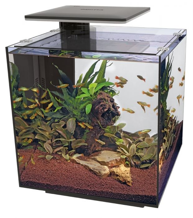 Pro Fish Tank Superfish Qubiq Pro 60 Aquarium (Black) – Complete Koi