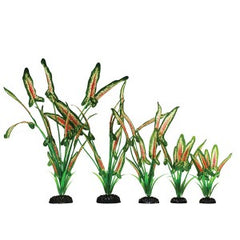 Hugo Kamishi Saggitaria Green/Red 30cm Aquarium Plant