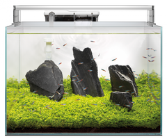 Superfish Scaper 45 Aquarium Kit