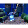 Gioia Thinker Submersed - Black - Weighted Shrimp Lollie Holder