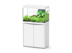 Aquatlantis Splendid Ultra 80 Aquarium & Cabinet (White)