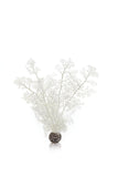 biOrb Sea Fan White Plant Decoration Medium
