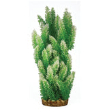Hugo Kamishi Heminathus Aquarium Plant Decoration