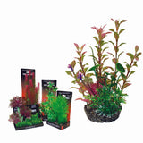 Hugo Kamishi Aquarium Boxed Plant 22cm Mix 2