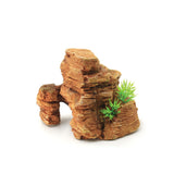 Hugo Kamishi Rockscape