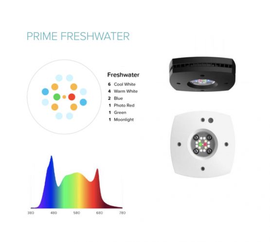AI Prime 16HD Freshwater