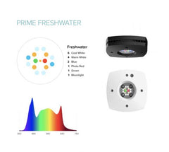 AI Prime 16HD Freshwater (White)