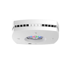 AI Prime 16HD Freshwater (White)