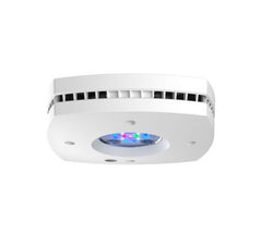 AI Prime 16HD (White)