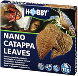 Hobby Aquarium Nano Catappa Leaves Pk12