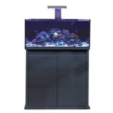 D-D Reef Pro 900 Aquarium