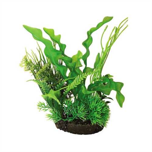 Hugo Kamishi Plant Mix 4 22cm