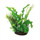 Hugo Kamishi Plant Mix 4 22cm
