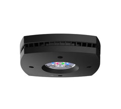 AI Prime 16HD Freshwater (Black)