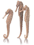 biOrb Seahorse 3 Pack Natural Aquarium Decoration