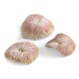 biOrb Plate Coral Aquarium Decoration Set