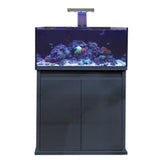 D-D Reef Pro 900 Aquarium