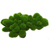 Hugo Rock And Moss Aquarium Decoration