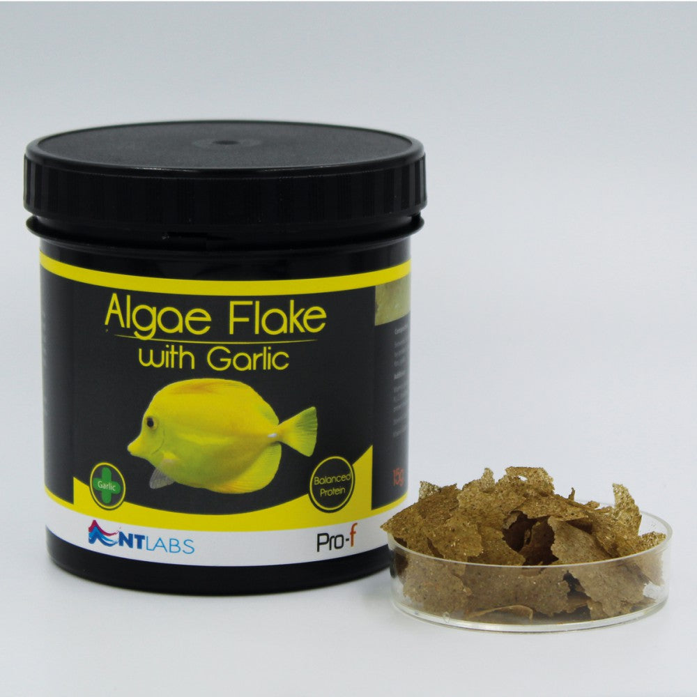 NT LABS Pro-F Algae Flake with Garlic 15g